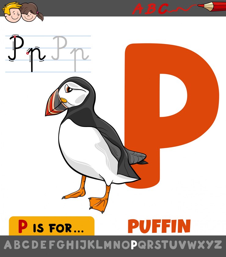 Vector letter p worksheet with cartoon puffin bird