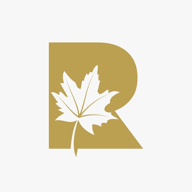 Letter R Maple Leaf Elegant Logo Maple Leaf Logotype Vector Template