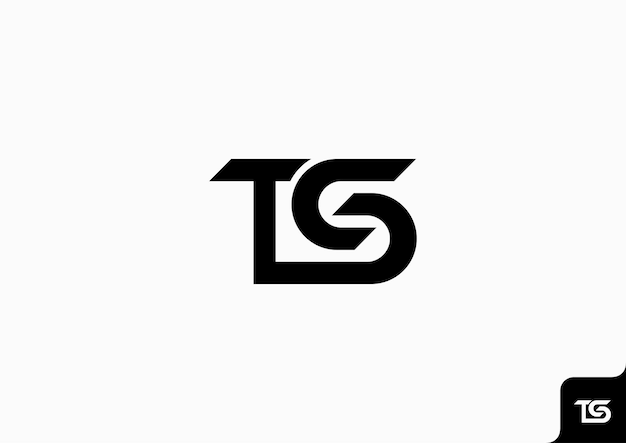 Letter TS icon logo plat minimalistisch kleurrijk zwart en wit