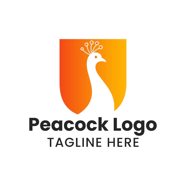 Letter u peacock logo template vector template