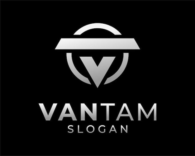 Vector letter vt tv initialen luxe zilver elegante geometrische eenvoudig minimalistisch monogram vector logo design