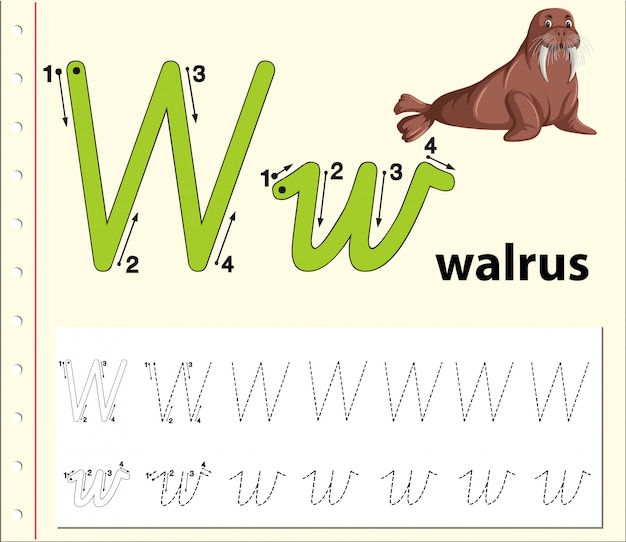 Letter w tracing alphabet worksheets