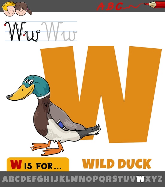 letter W uit het alfabet met cartoon wilde eend vogel dier karakter