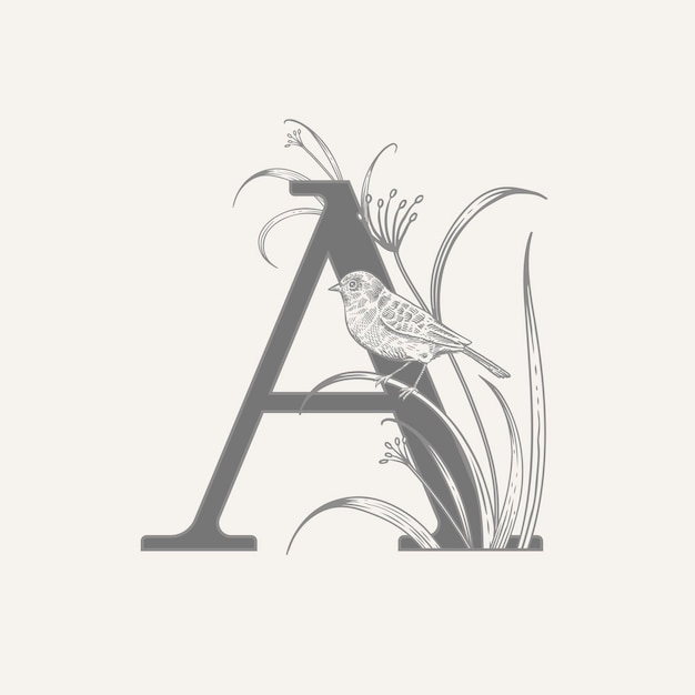 Letter A with decorative herbs flowers and bird