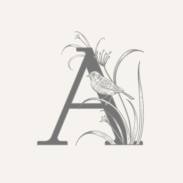 Letter a with decorative herbs flowers and bird