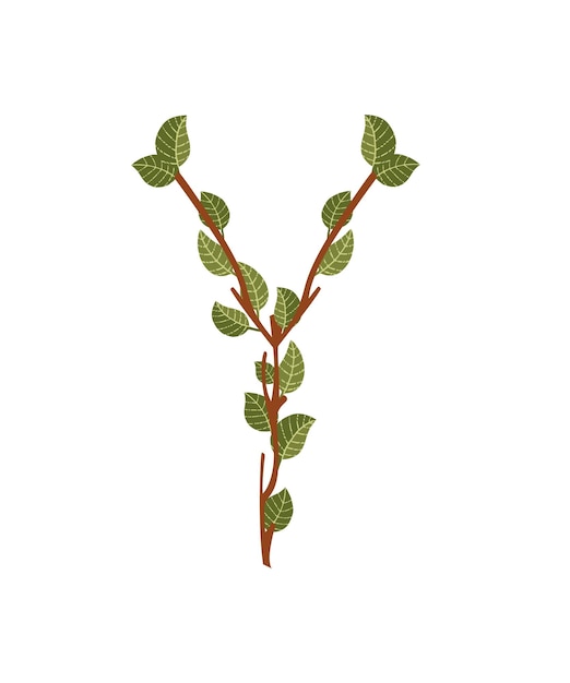 벡터 흰색 배경에 고립 된 녹색 잎 에코 글꼴 평면 벡터 일러스트와 함께 편지 y 갈색 나무 가지