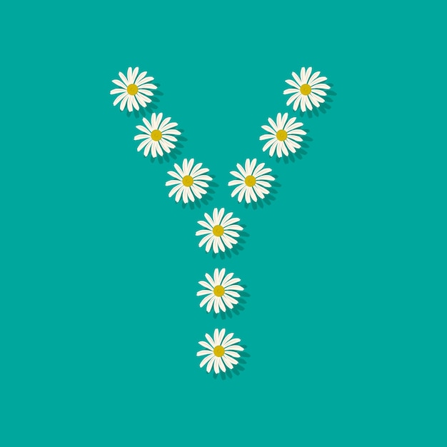 Letter Y from white chamomile flowers. Festive font or decoration for spring or summer holiday and design. Vector flat illustration