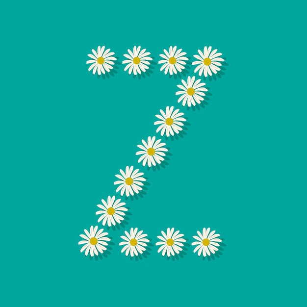 흰색 카모마일 꽃의 문자 z는 봄 또는 여름 휴가 및 데코레이션을 위한 축제 글꼴 또는 장식입니다.