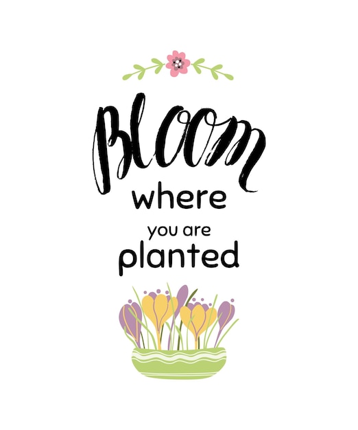 Vector lettering quote about flowers gardening banner flowers pot crocuses bulbs vector