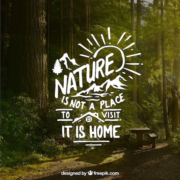 Lettering and quote design on forest background