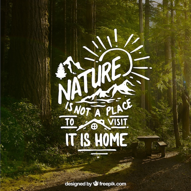 Lettering and quote design on forest background