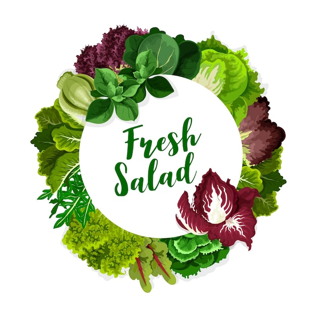 Вектор Салат из листьев салата, шпината, рукколы, капусты
