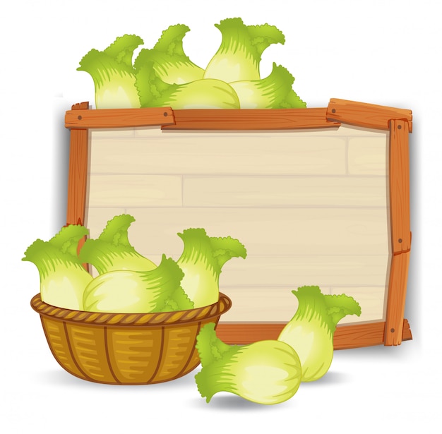 Lettuce on wooden frame