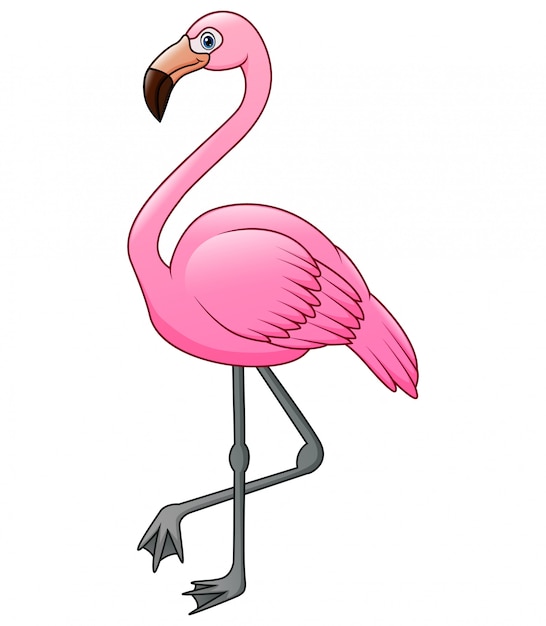 Leuk een flamingocartoon