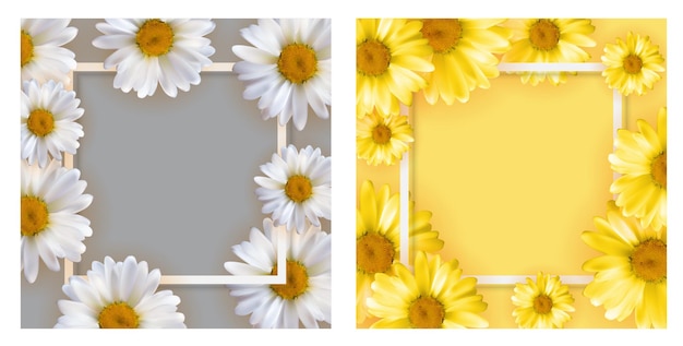 Leuk frame met kamillebloemen.