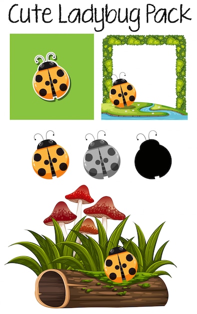 Leuk lady bug pack