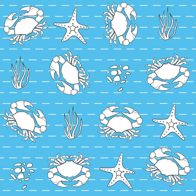 Leuk naadloos patroon met witte krabzeester
