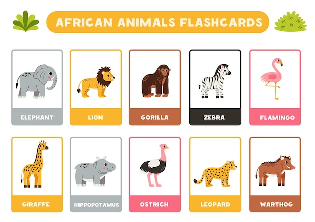 Leuke Afrikaanse dieren met namen Flashcards om Engels te leren