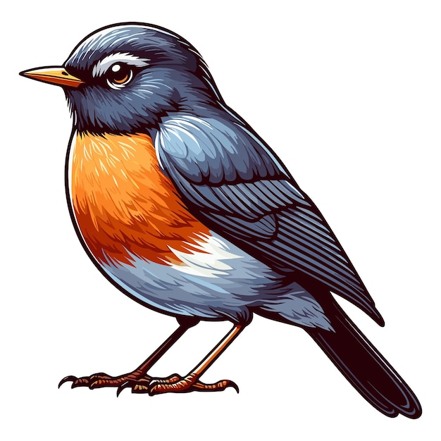 Leuke Amerikaanse Robin Vector Cartoon illustratie