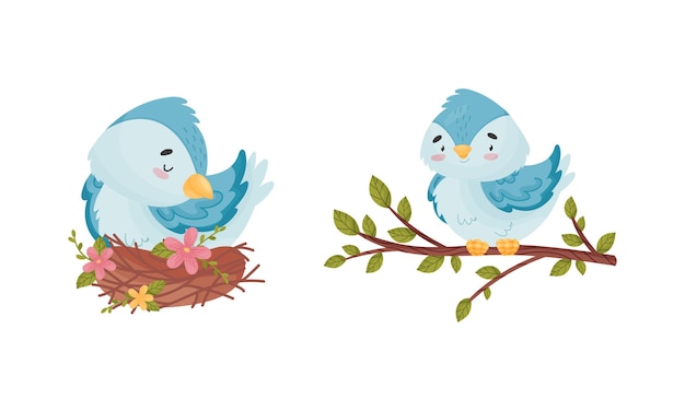 Leuke blauwe vogel zit in het nest en op boomtak vector set