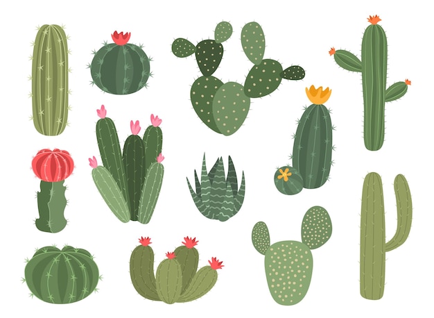 Vector leuke cactus cartoon collectie van decoratieve succulente geïsoleerde huis groene plant met bloesem woestijn exotische flora met bloemen en stekels landschap groen element vector gezellige kamerplanten set