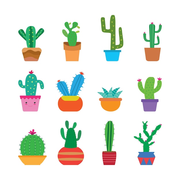 Leuke cactus.