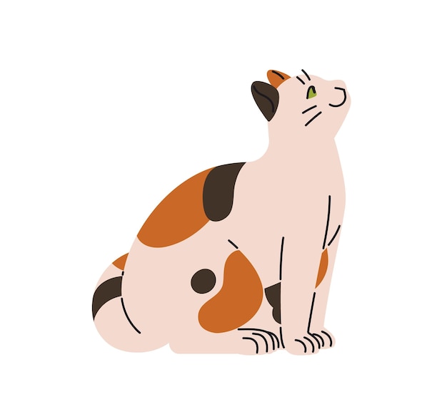 Leuke calico kat is in het kijken zit en observeert zijzicht Gelukkige kitten is op zoek naar aandacht Grappige kitten vraagt liefde aaien communicatie Platte geïsoleerde vector illustratie op witte achtergrond