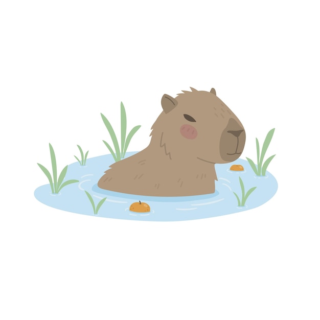 Leuke capybara's baden in een vijver.