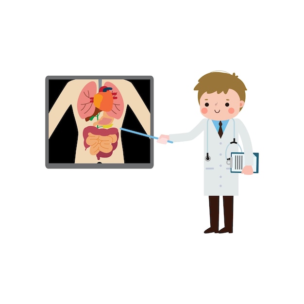 Vector leuke cartoon europese dokter met röntgen scherm toont interne organen en skelet röntgen check bon