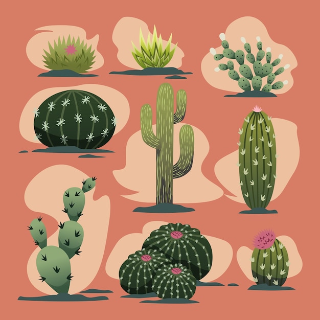 Leuke cartoon woestijn cactus vector collectie set illustratie