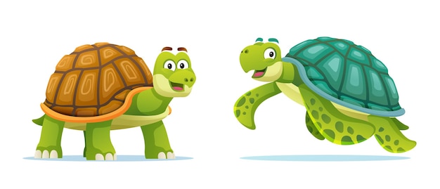 Leuke cartoonillustratie van schildpad en zeeschildpad