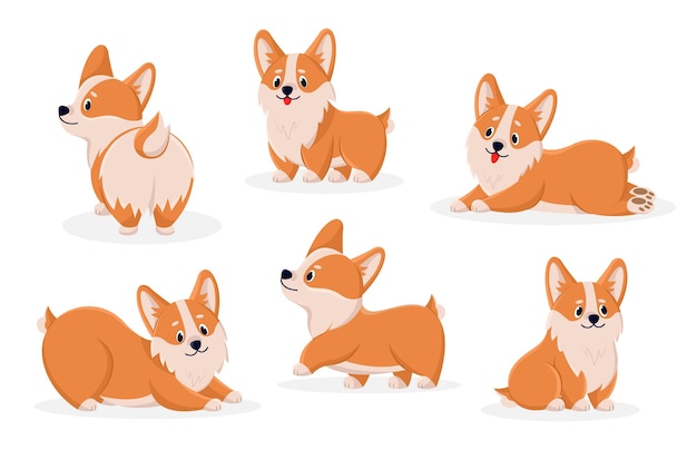 Leuke corgi stripfiguren set. vectorillustraties van grappige hond met vriendelijke emoties. cartoon voor-, zij- en achteraanzicht van het spelen van puppy geïsoleerd wit. dierlijke metgezel, gelukkig huisdierconcept