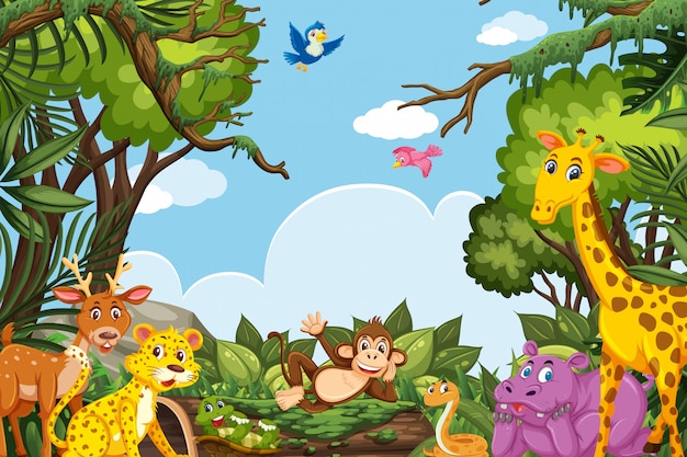 Leuke dieren in jungle scene