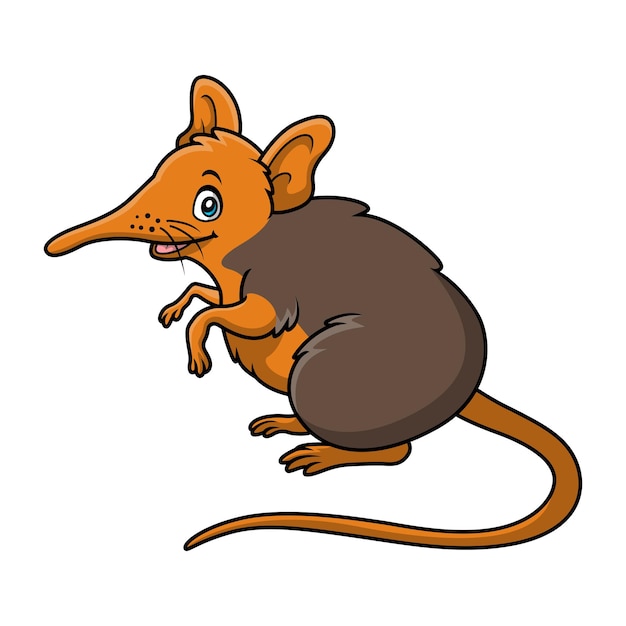 Vector leuke elephant shrew cartoon op witte achtergrond