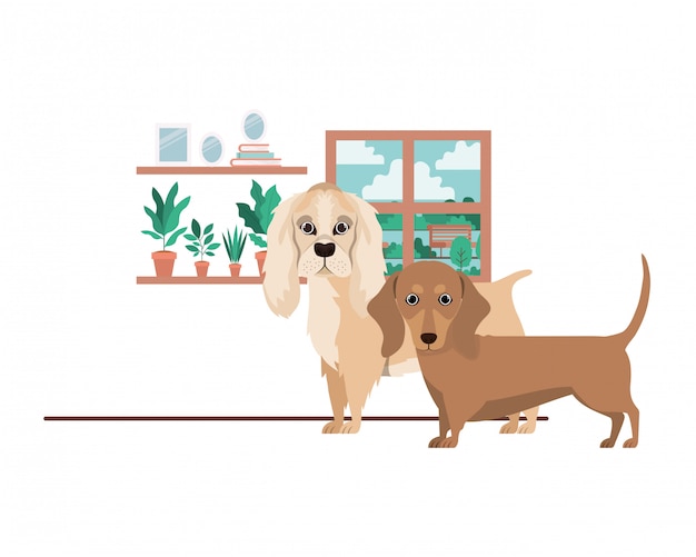 Leuke en schattige honden in de woonkamer
