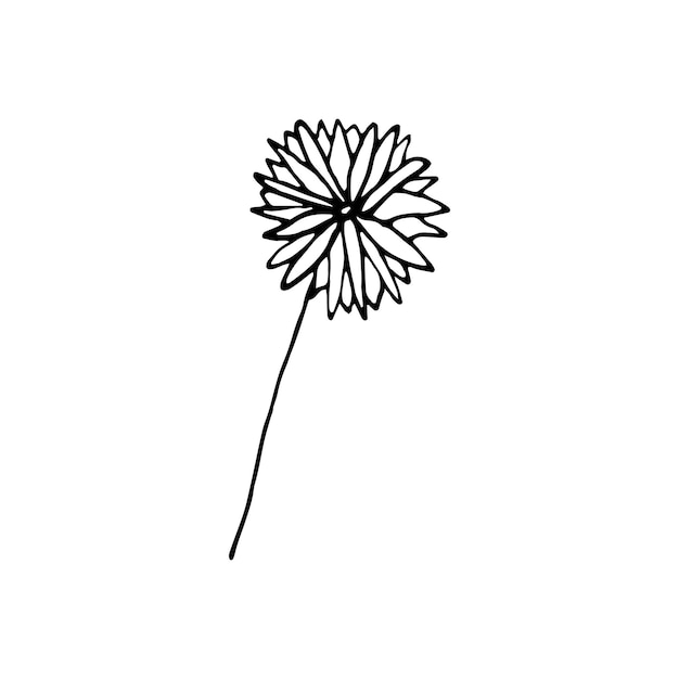 Leuke enkele hand getekende bloemenelementen. doodle vectorillustratie voor bruiloft ontwerp, logo en wenskaart.