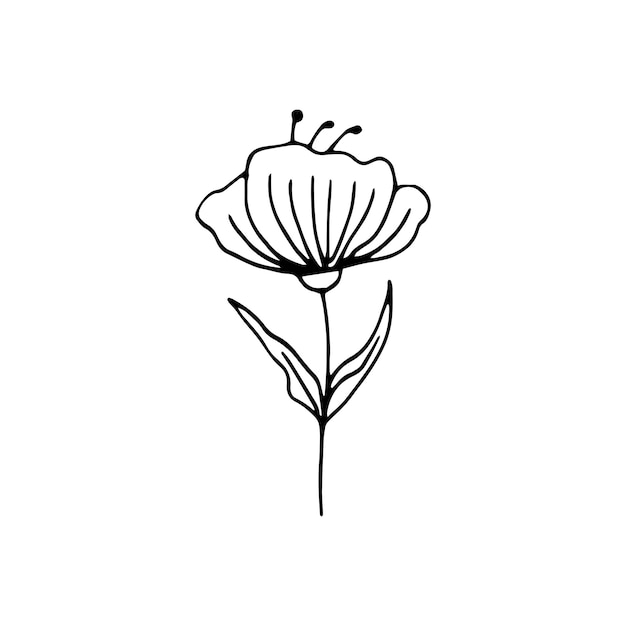 Leuke enkele hand getekende bloemenelementen. Doodle vectorillustratie voor bruiloft ontwerp, logo en wenskaart.