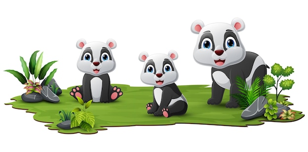 Vector leuke familie panda's cartoon in het gras
