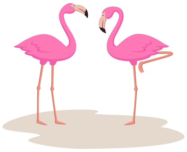 Leuke flamingo's op witte achtergrond