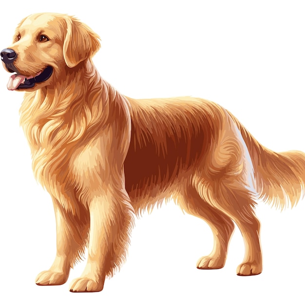 Leuke Golden Retriever Hond cartoon Vector stijl witte achtergrond