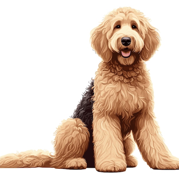 Leuke goldendoodle dog cartoon vector style witte achtergrond