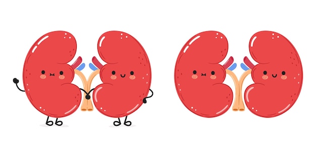 Leuke grappige nieren orgel wuivende hand karakter Vector hand getekend cartoon kawaii karakter illustratie pictogram Geïsoleerd op witte achtergrond Gelukkig nieren orgel karakter concept