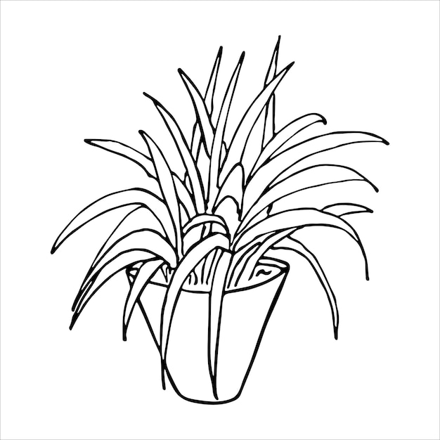 Leuke handgetekende kamerplant in een pot clipart Plant illustratie Cosy home doodle