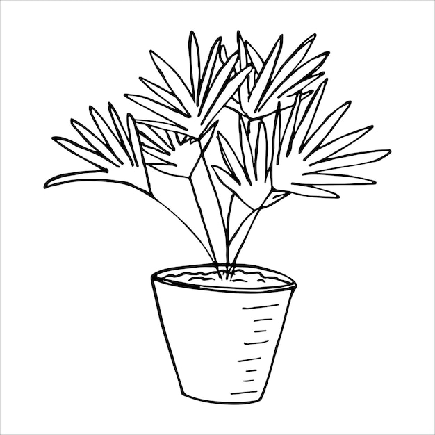 Leuke handgetekende kamerplant in een pot clipart Plant illustratie Cosy home doodle