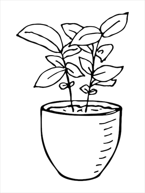 Leuke handgetekende kamerplant in een pot clipart plant illustratie cosy home doodle