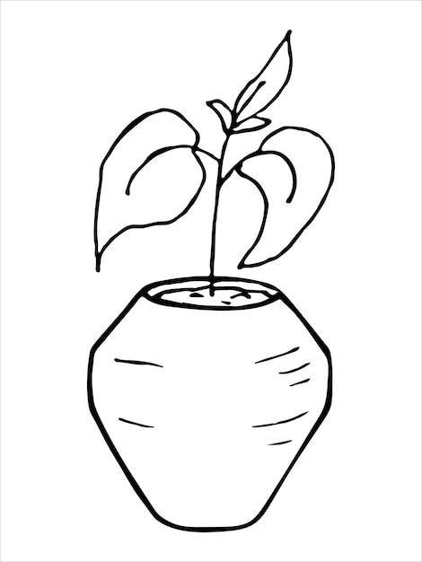 Leuke handgetekende kamerplant in een pot clipart Plant illustratie Cosy home doodle