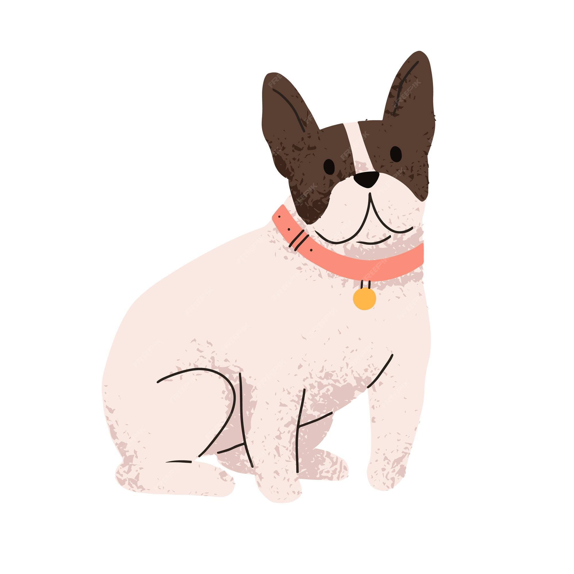 focus drie Rondlopen Leuke hond van het franse buldogras. grappig schattig hondje met halsband.  honds dier, lief pup portret. mooie puppy met tweekleurig haar. platte  vectorillustratie geïsoleerd op een witte achtergrond | Premium Vector