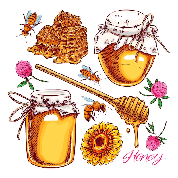 Vector leuke honing set. potten met honing, bijen, honingraat. handgetekende illustratie
