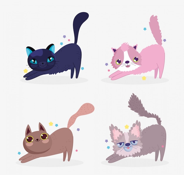 Vector leuke katten die zich uitrekken binnenlandse cartoon dier, collectie huisdieren