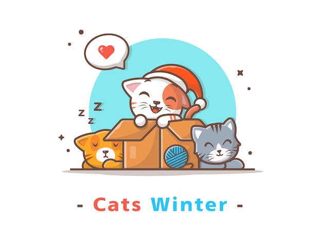 Leuke katten winterseizoen